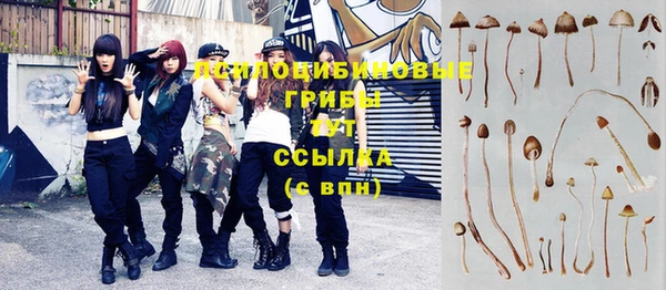трава Гусь-Хрустальный