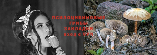 трава Гусь-Хрустальный