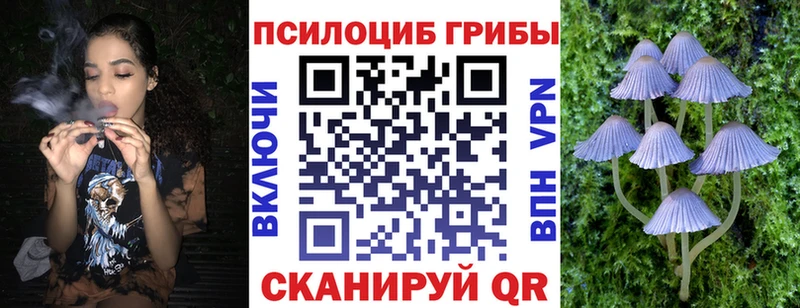 Псилоцибиновые грибы мицелий Ершов